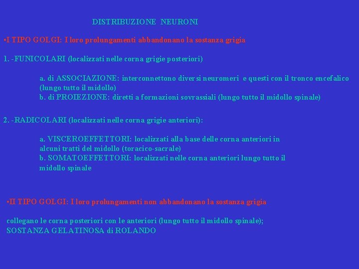 DISTRIBUZIONE NEURONI • I TIPO GOLGI: I loro prolungamenti abbandonano la sostanza grigia DISTRIBUZIONE NEURONI • I TIPO GOLGI: I loro prolungamenti abbandonano la sostanza grigia