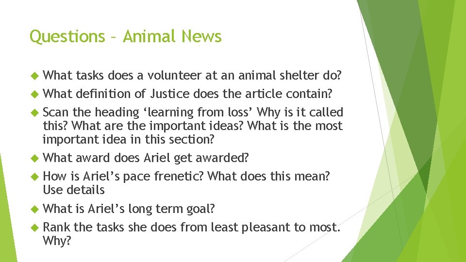 Questions – Animal News What tasks does a volunteer at an animal shelter do?