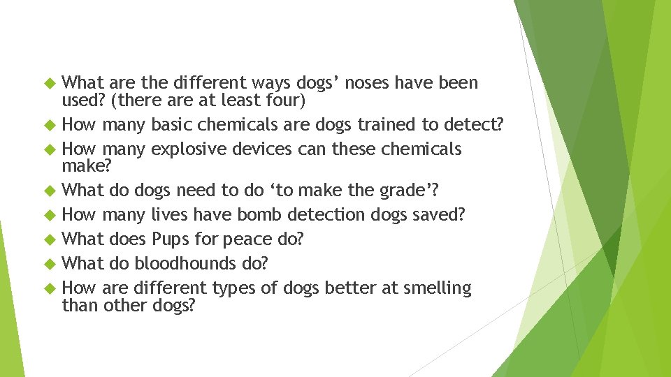  What are the different ways dogs’ noses have been used? (there at least