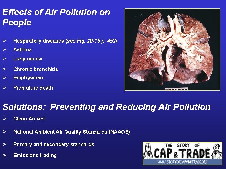 Effects of Air Pollution on People Ø Respiratory diseases (see Fig. 20 -15 p.
