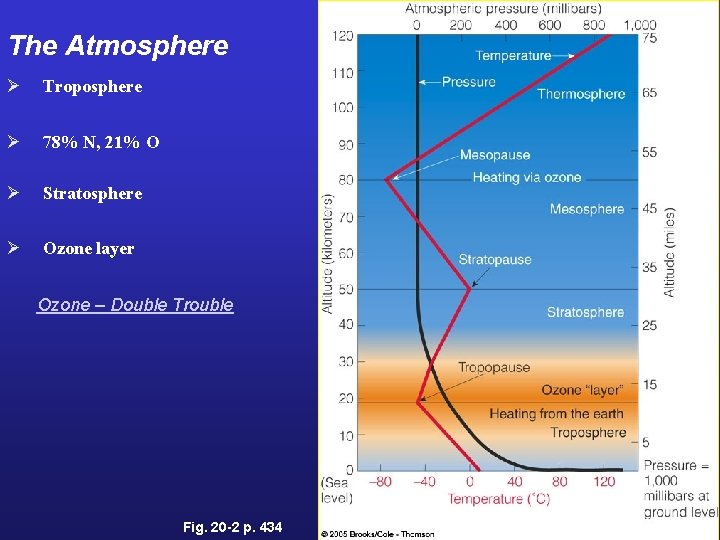 The Atmosphere Ø Troposphere Ø 78% N, 21% O Ø Stratosphere Ø Ozone layer