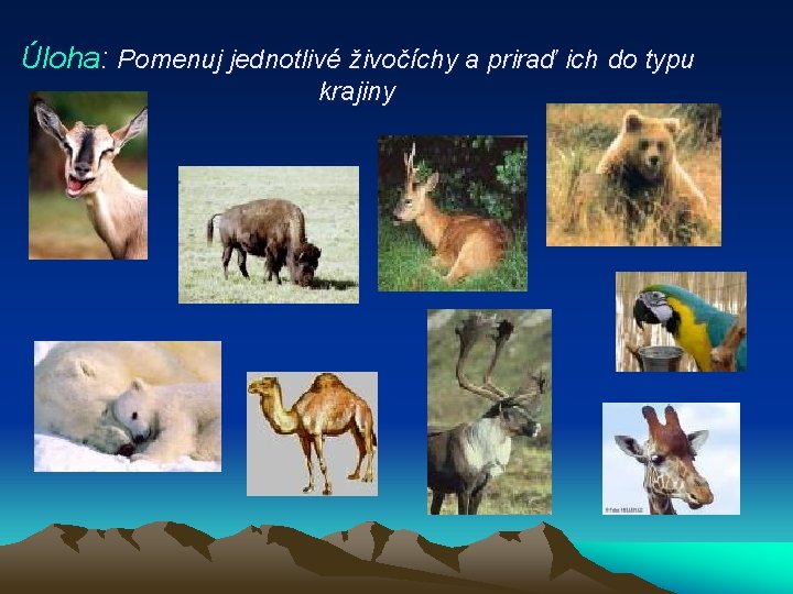 Úloha: Pomenuj jednotlivé živočíchy a priraď ich do typu krajiny 