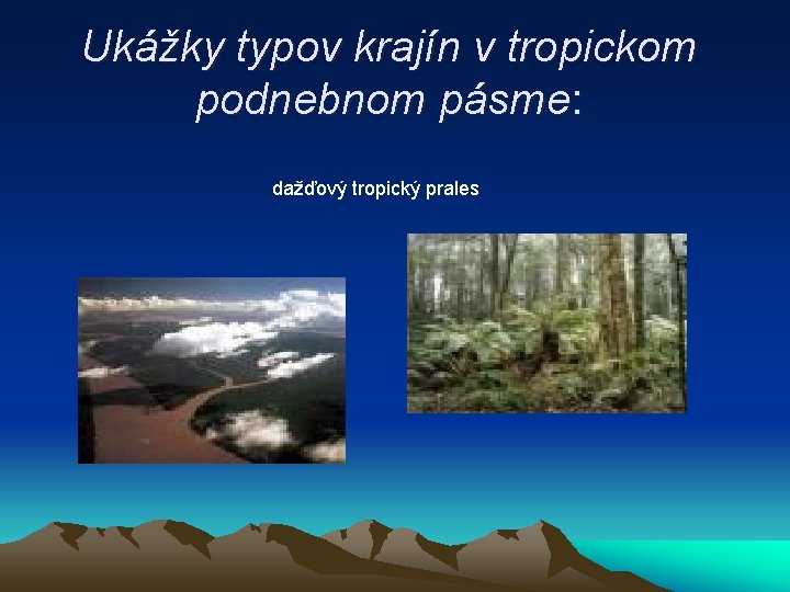 Ukážky typov krajín v tropickom podnebnom pásme: dažďový tropický prales 