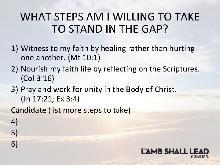 WHAT STEPS AM I WILLING TO TAKE TO STAND IN THE GAP? 1) Witness