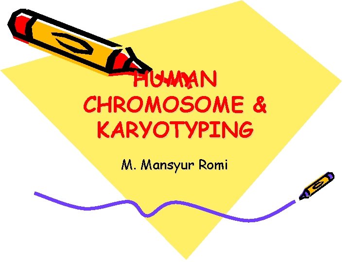 HUMAN CHROMOSOME & KARYOTYPING M. Mansyur Romi 