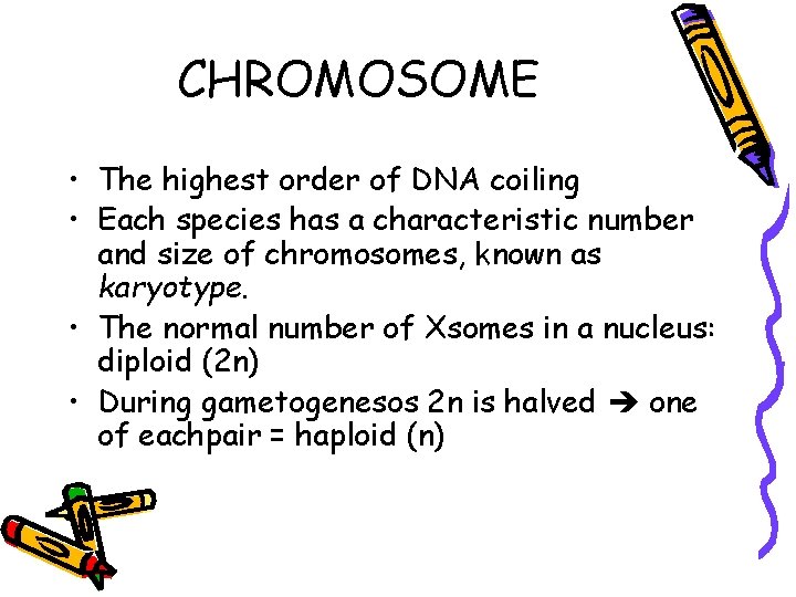 CHROMOSOME • The highest order of DNA coiling • Each species has a characteristic