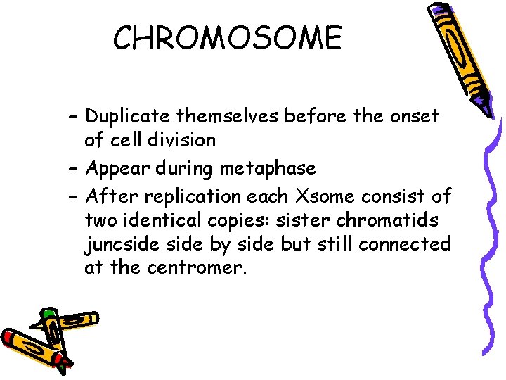 CHROMOSOME – Duplicate themselves before the onset of cell division – Appear during metaphase