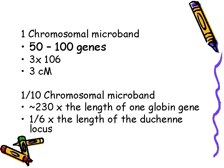 1 Chromosomal microband • 50 – 100 genes • 3 x 106 • 3