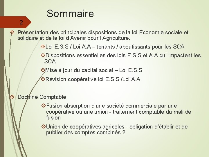 2 Sommaire Présentation des principales dispositions de la loi Économie sociale et solidaire et