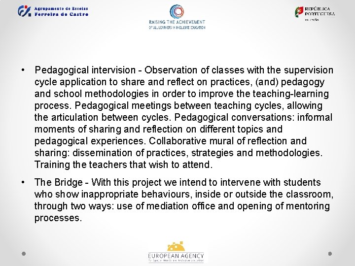  • Pedagogical intervision - Observation of classes with the supervision cycle application to