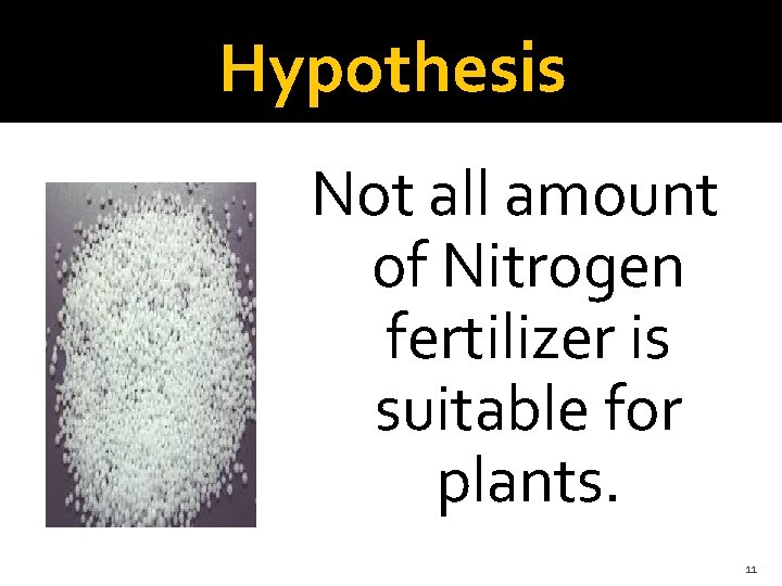 Hypothesis Not all amount of Nitrogen fertilizer is suitable for plants. 11 