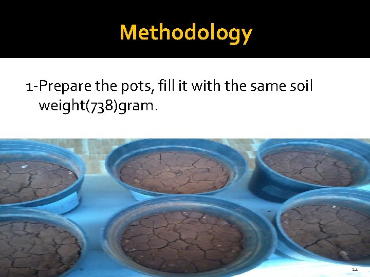 Methodology 1 -Prepare the pots, fill it with the same soil weight(738)gram. 12 