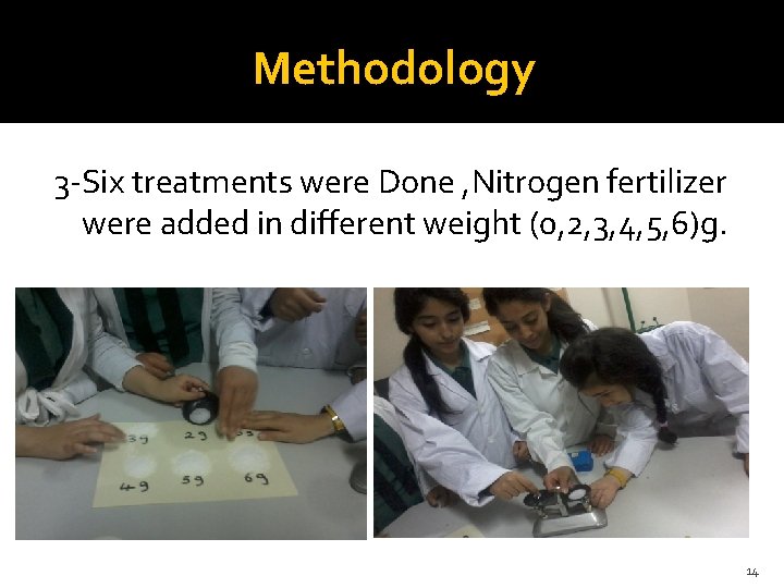 Methodology 3 -Six treatments were Done , Nitrogen fertilizer were added in different weight