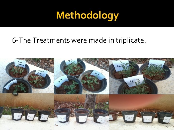 Methodology 6 -The Treatments were made in triplicate. 17 