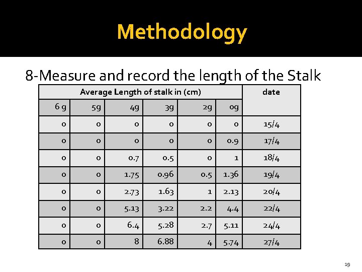 Methodology 8 -Measure and record the length of the Stalk Average Length of stalk