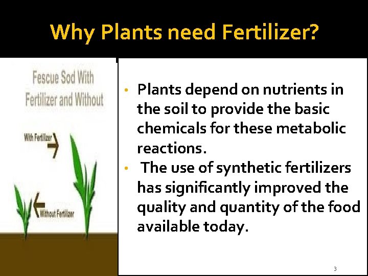 Why Plants need Fertilizer? Plants depend on nutrients in the soil to provide the