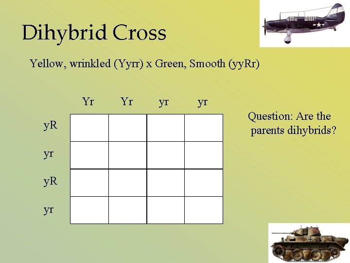 Dihybrid Cross Yellow, wrinkled (Yyrr) x Green, Smooth (yy. Rr) Yr y. R yr