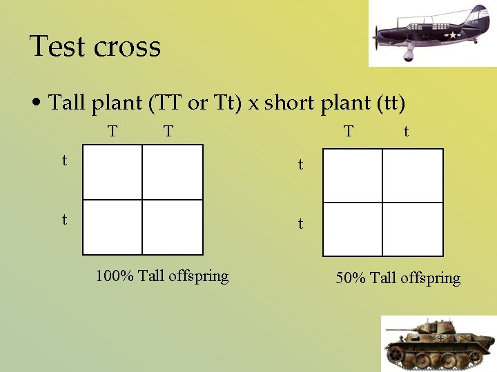 Test cross • Tall plant (TT or Tt) x short plant (tt) T T