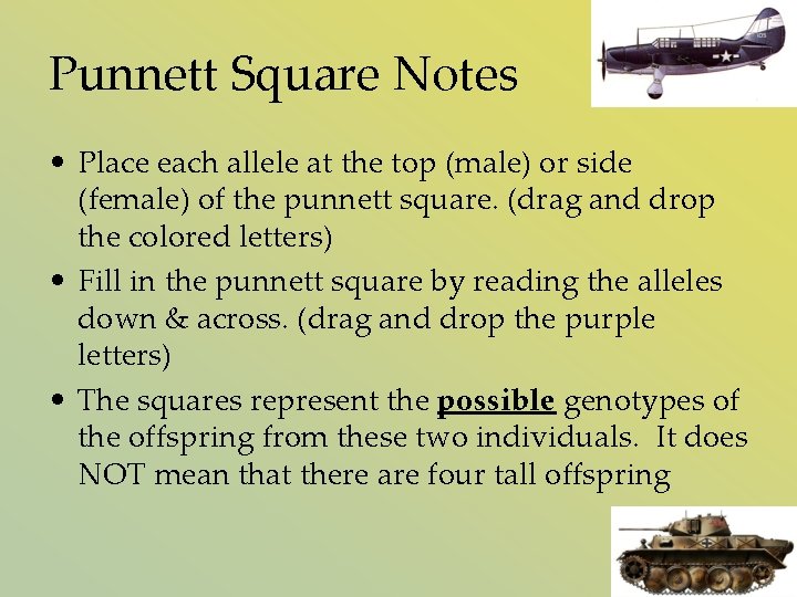 Punnett Square Notes • Place each allele at the top (male) or side (female)