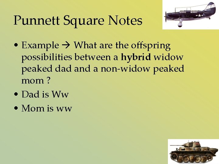 Punnett Square Notes • Example What are the offspring possibilities between a hybrid widow