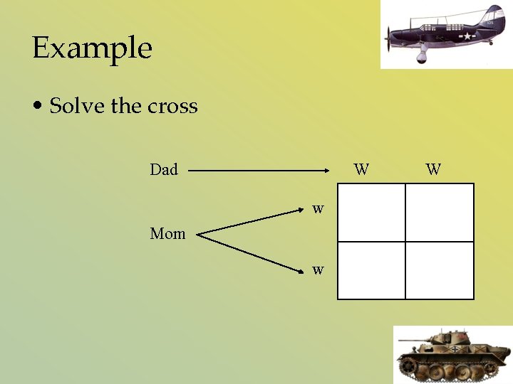 Example • Solve the cross Dad W w Mom w W 