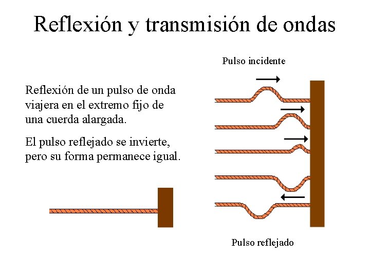 Reflexión y transmisión de ondas Pulso incidente Reflexión de un pulso de onda viajera