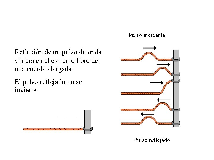 Pulso incidente Reflexión de un pulso de onda viajera en el extremo libre de