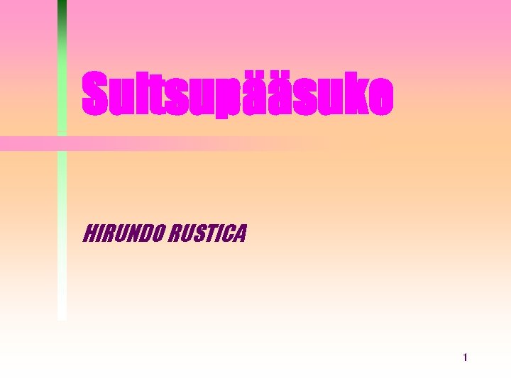 Suitsupääsuke HIRUNDO RUSTICA 1 Suitsupääsuke HIRUNDO RUSTICA 1