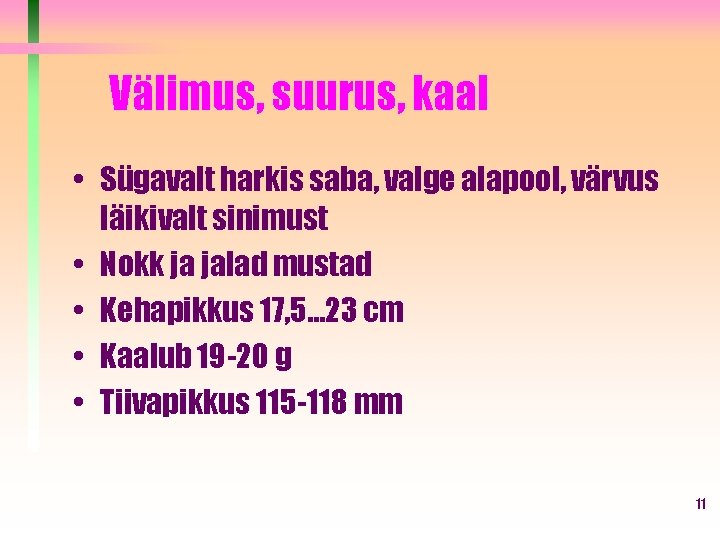 Välimus, suurus, kaal • Sügavalt harkis saba, valge alapool, värvus läikivalt sinimust • Nokk Välimus, suurus, kaal • Sügavalt harkis saba, valge alapool, värvus läikivalt sinimust • Nokk