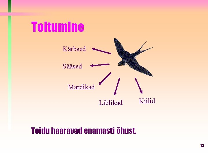 Toitumine Kärbsed Sääsed Mardikad Liblikad Kiilid Toidu haaravad enamasti õhust. 13 Toitumine Kärbsed Sääsed Mardikad Liblikad Kiilid Toidu haaravad enamasti õhust. 13