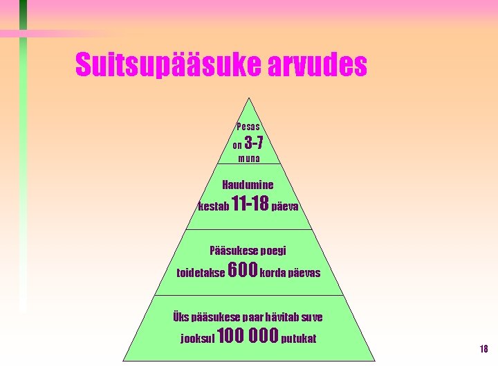 Suitsupääsuke arvudes Pesas 3 -7 on muna Haudumine kestab 11 -18 päeva Pääsukese poegi Suitsupääsuke arvudes Pesas 3 -7 on muna Haudumine kestab 11 -18 päeva Pääsukese poegi
