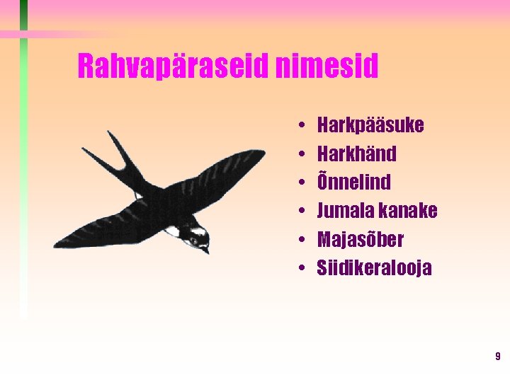 Rahvapäraseid nimesid • • • Harkpääsuke Harkhänd Õnnelind Jumala kanake Majasõber Siidikeralooja 9 Rahvapäraseid nimesid • • • Harkpääsuke Harkhänd Õnnelind Jumala kanake Majasõber Siidikeralooja 9