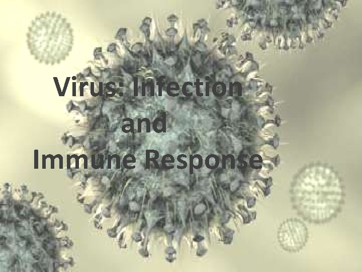 Virus: Infection Finishing Viruses + Monera and Immune Response 