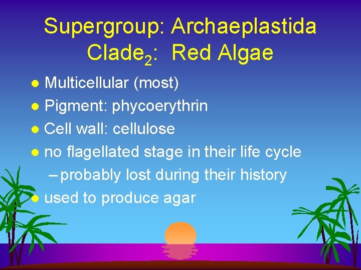 Supergroup: Archaeplastida Clade 2: Red Algae Multicellular (most) l Pigment: phycoerythrin l Cell wall:
