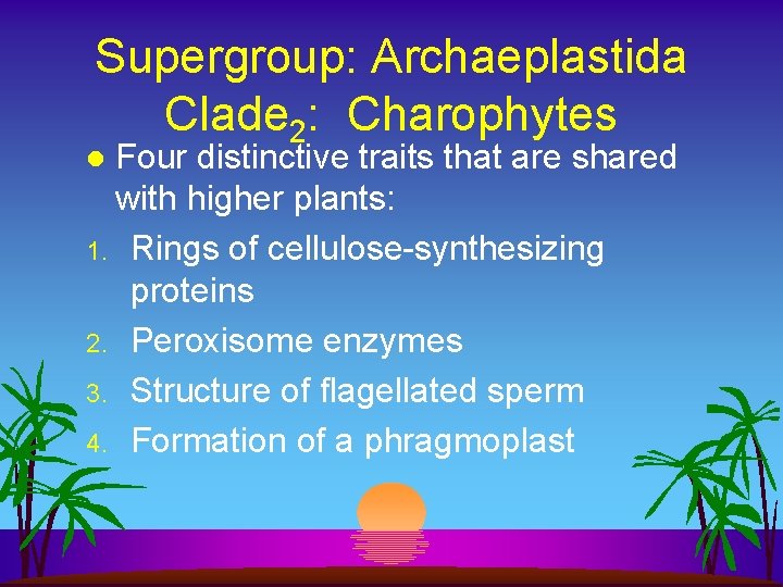 Supergroup: Archaeplastida Clade 2: Charophytes Four distinctive traits that are shared with higher plants: