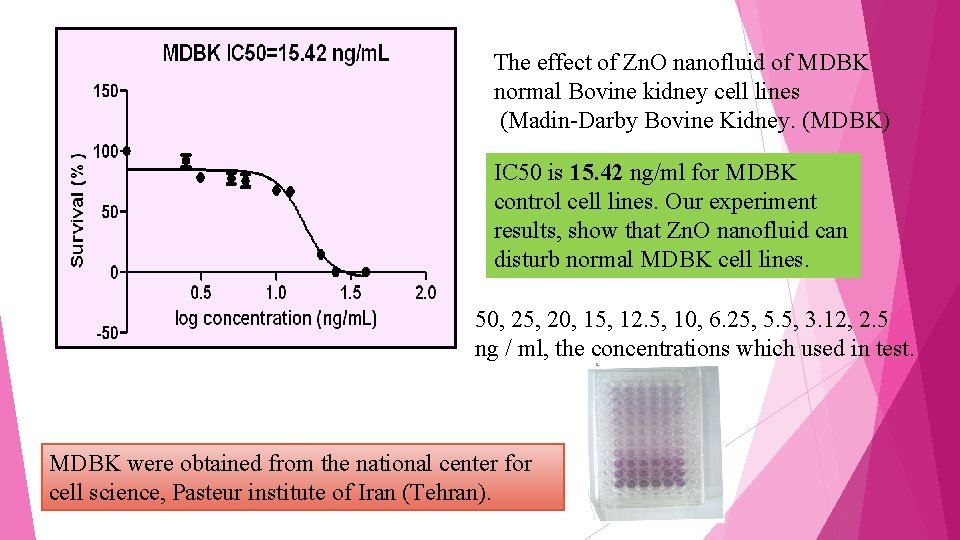 The effect of Zn. O nanofluid of MDBK normal Bovine kidney cell lines (Madin-Darby