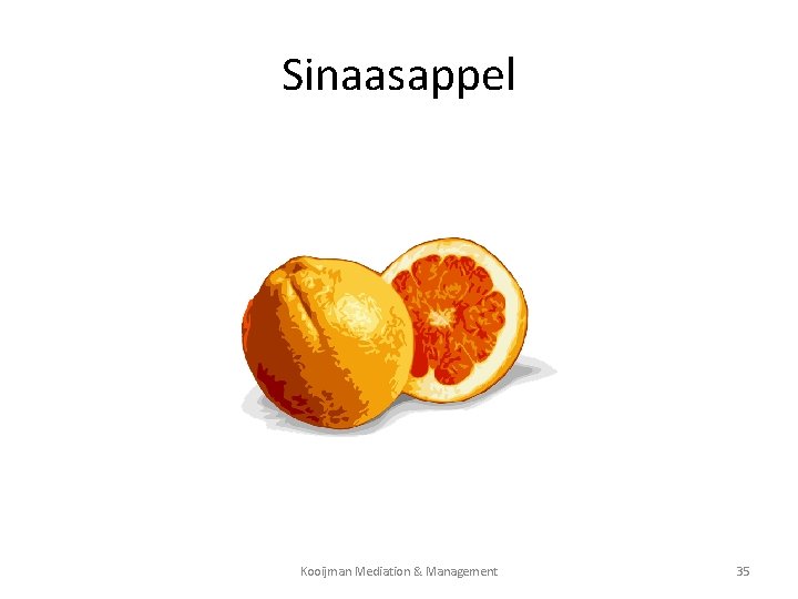 Sinaasappel Kooijman Mediation & Management 35 