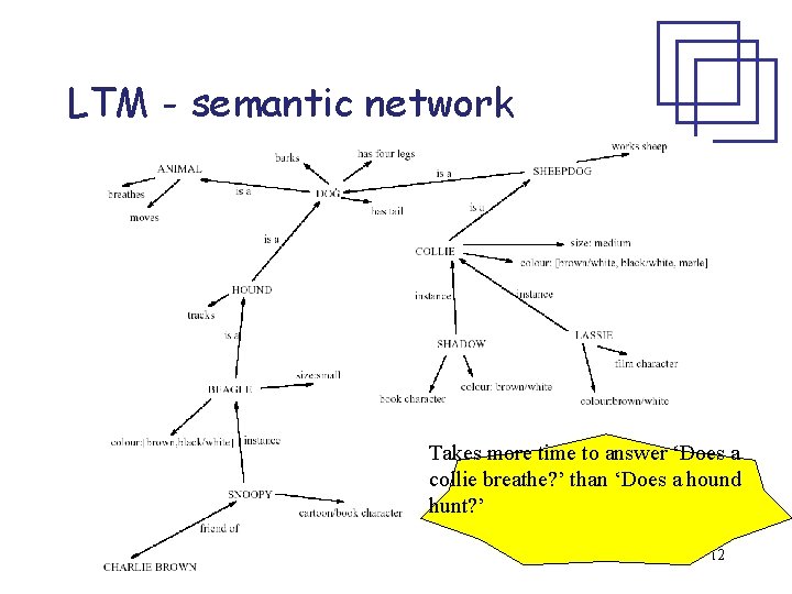 LTM - semantic network Takes more time to answer ‘Does a collie breathe? ’