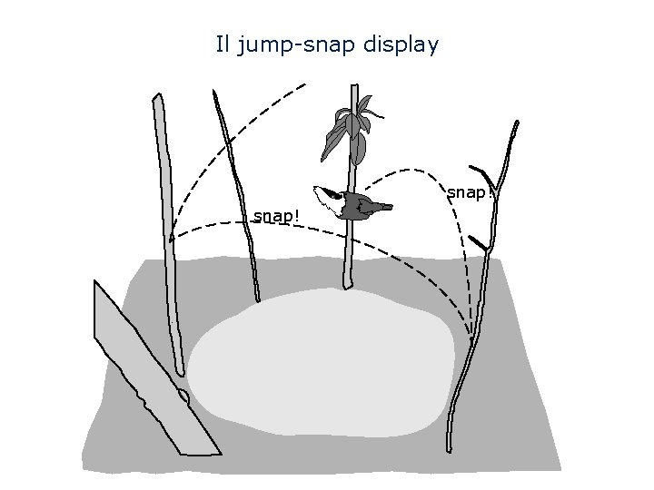 Il jump-snap display snap! 