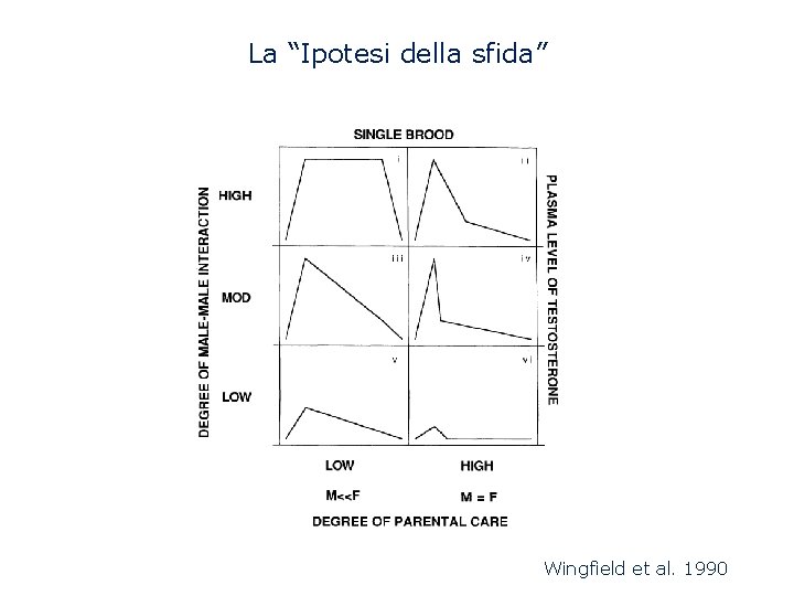 La “Ipotesi della sfida” Wingfield et al. 1990 