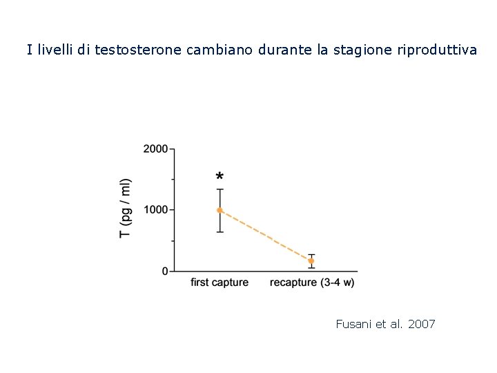 I livelli di testosterone cambiano durante la stagione riproduttiva Fusani et al. 2007 