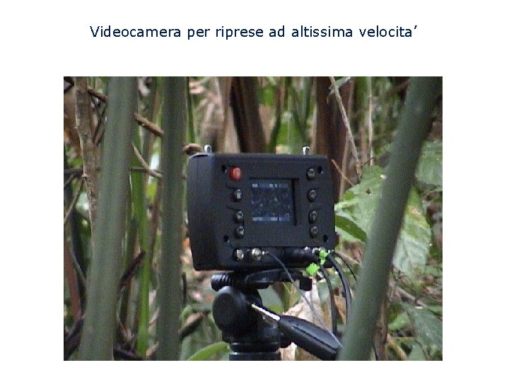 Videocamera per riprese ad altissima velocita’ 