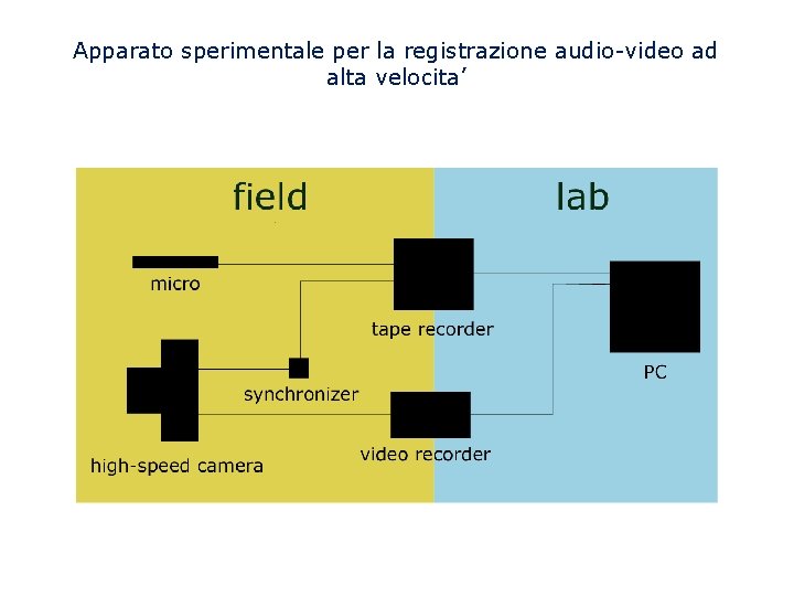 Apparato sperimentale per la registrazione audio-video ad alta velocita’ 