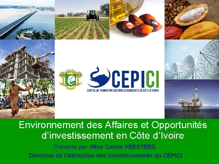 Environnement des Affaires et Opportunités d’investissement en Côte d’Ivoire Présenté par: Mme Carole VERSTEEG,