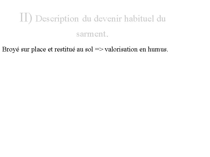 II) Description du devenir habituel du sarment. Broyé sur place et restitué au sol