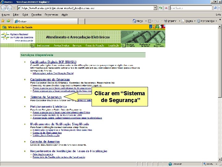 Clicar em “Sistema de Segurança” Agência Nacional de Vigilância Sanitária www. anvisa. gov. br