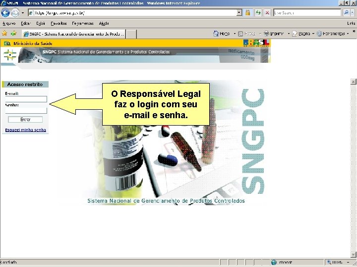O Responsável Legal faz o login com seu e-mail e senha. Agência Nacional de