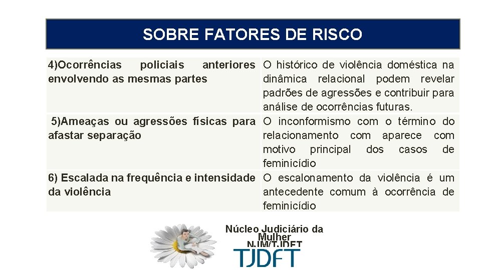 MEDIDA PROTETIVA CÍVEL SOBRE FATORES DE RISCO 4)Ocorrências policiais anteriores O histórico de violência