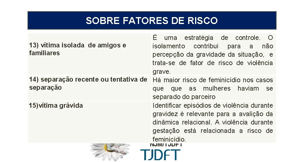 MEDIDA PROTETIVA CÍVEL SOBRE FATORES DE RISCO 13) vítima isolada de amigos e familiares