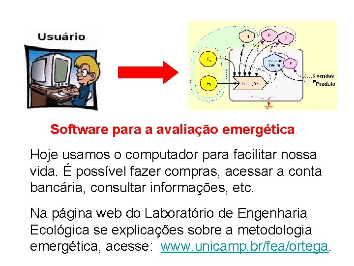 Software para a avaliação emergética Hoje usamos o computador para facilitar nossa vida. É